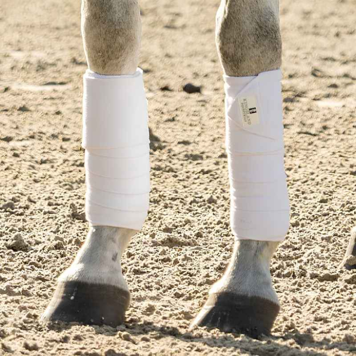 Fleecebandasjer Classic 2-pk Hvit i gruppen Hesteutstyr / Belegg & Bandasjer / Bandasjer hos Equinest (KLC-HG-759VI-ONESIZE)