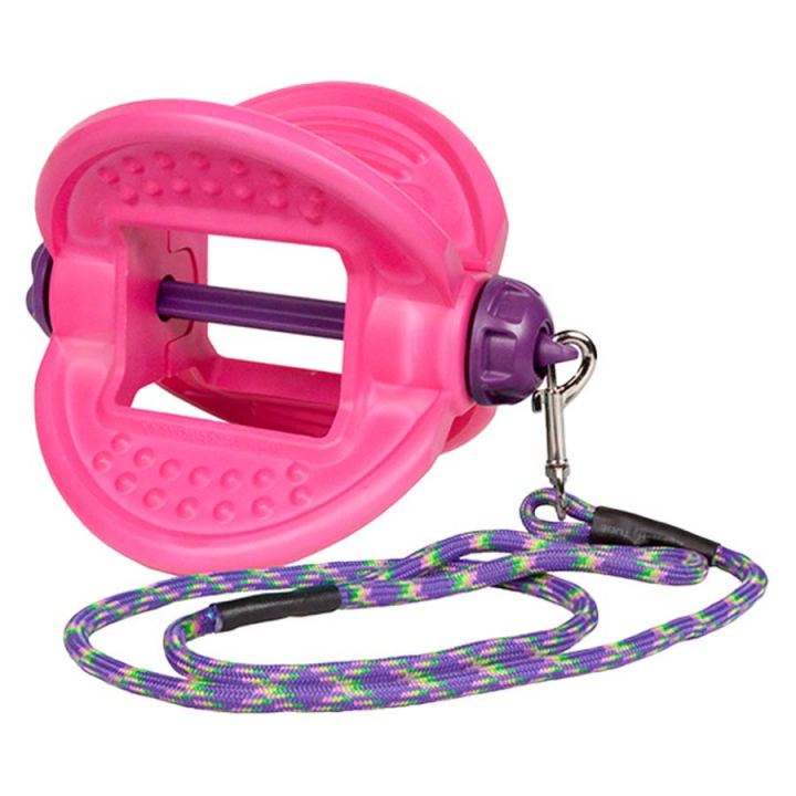 Holder Bizzy Ball Rosa i gruppen Tilskudd / Tilskudd hest / Saltsteiner & Slikkesteiner hos Equinest (LIKBIZ09XPI)