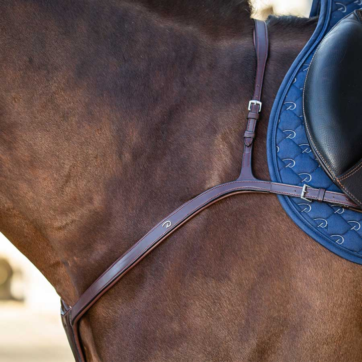 Fortøy med lang bro NE Brun i gruppen Hesteutstyr / Martingal & Fortøy / Fortøy hos Equinest (NE06CBr_r)