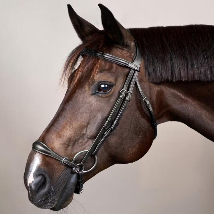 Hodelag Hannoveransk Nesereim New English Collection Svart i gruppen Hesteutstyr / Hodelag & Pannebånd / Dressur- & Kandarhodelag hos Equinest (NEAAAEBLCBA_r)