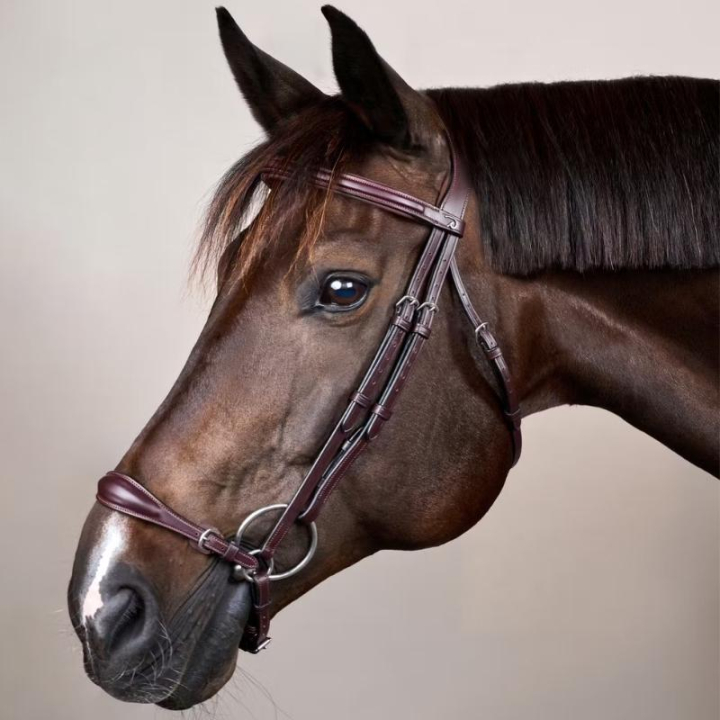 Hodelag Hannoveransk Nesereim New English Collection Brun i gruppen Hesteutstyr / Hodelag & Pannebånd / Dressur- & Kandarhodelag hos Equinest (NEAAAEBRCBR_r)