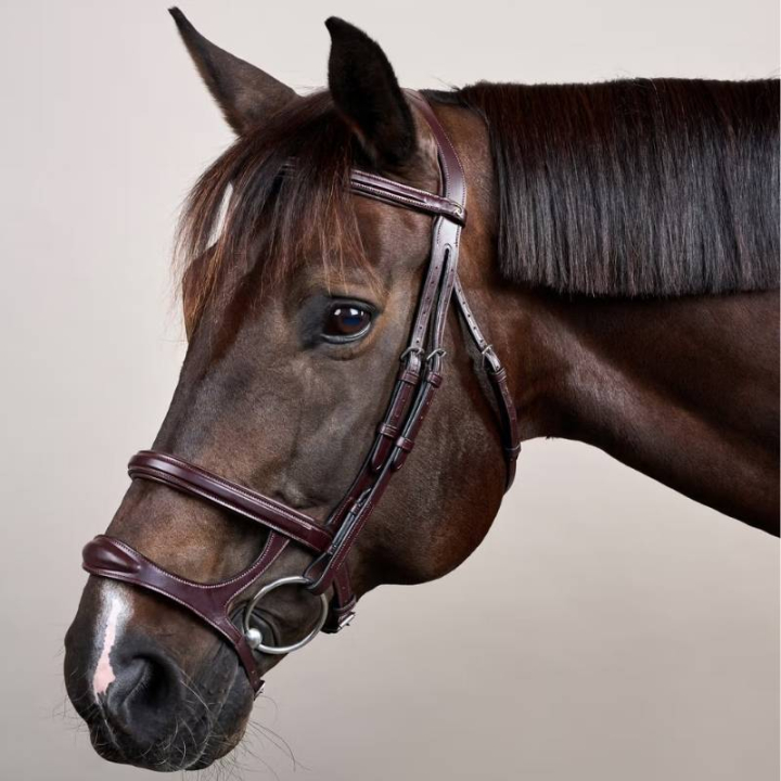 Hodelag Dobbel Nesereim New English Collection Brun i gruppen Hesteutstyr / Hodelag & Pannebånd / Hodelag hos Equinest (NEAAAHBRCBR_r)