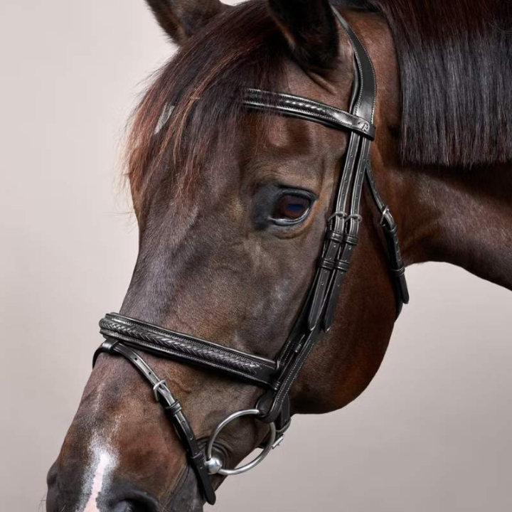 Hodelag Kombinert Nesereim Plaited New English Collection Svart i gruppen Hesteutstyr / Hodelag & Pannebånd / Hodelag hos Equinest (NEAOAKBLCBA_r)