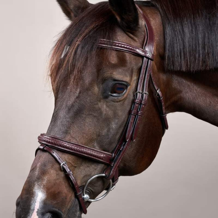 Hodelag Kombinert Nesereim Plaited New English Collection Brun i gruppen Hesteutstyr / Hodelag & Pannebånd / Hodelag hos Equinest (NEAOAKBRCBR_r)