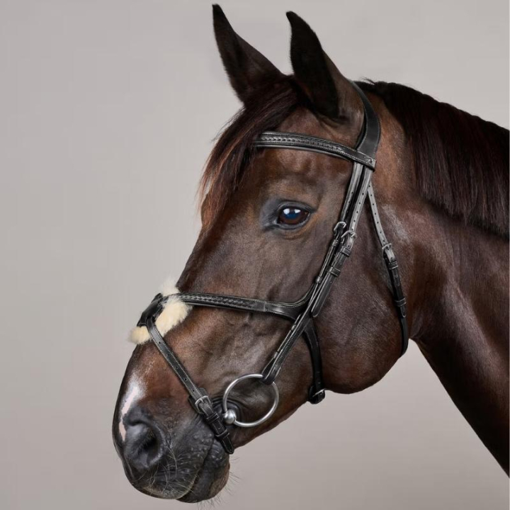 Hodelag Meksikansk Nesereim Plaited New English Collection Svart i gruppen Hesteutstyr / Hodelag & Pannebånd / Hodelag hos Equinest (NEAOAVBLCBA_r)