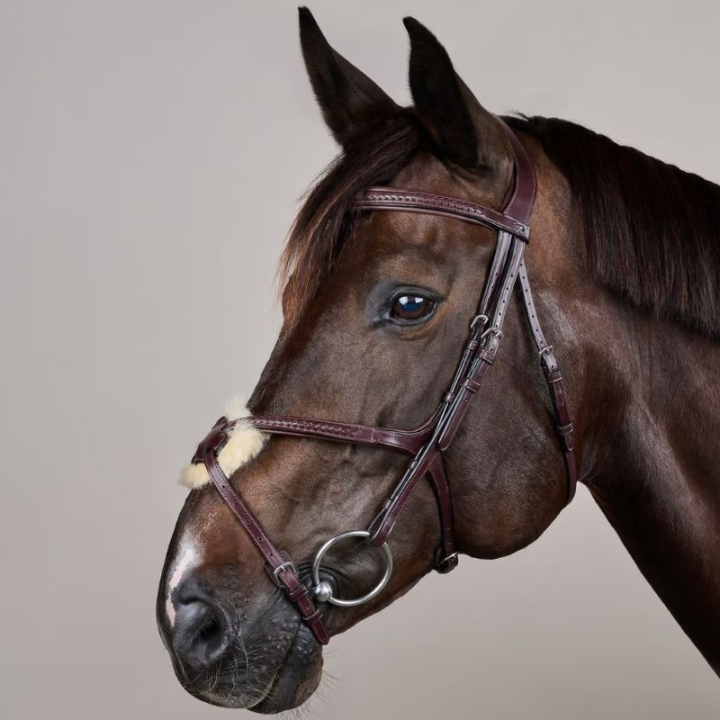Hodelag Meksikansk Nesereim Plaited New English Collection Brun i gruppen Hesteutstyr / Hodelag & Pannebånd / Hodelag hos Equinest (NEAOAVBRCBR_r)