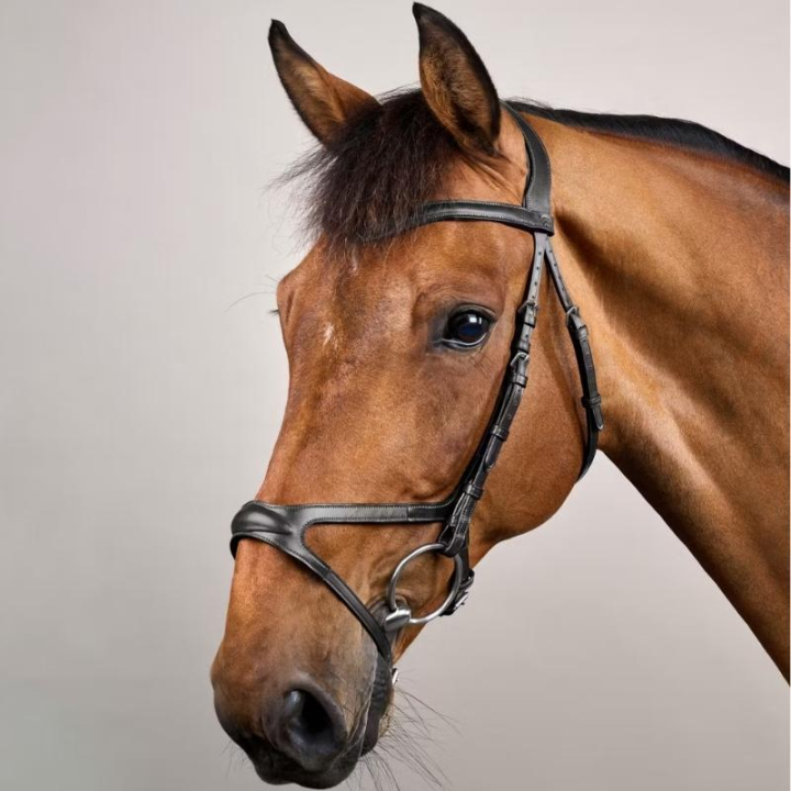 Anatomisk Hodelag X-Fit New English Collection Svart i gruppen Hesteutstyr / Hodelag & Pannebånd / Hodelag hos Equinest (NECCCDSv_r)