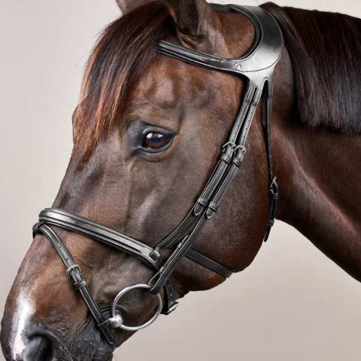 Hodelag Difference New English Collection Svart i gruppen Hesteutstyr / Hodelag & Pannebånd / Hodelag hos Equinest (NEGXAUBLCBA_r)