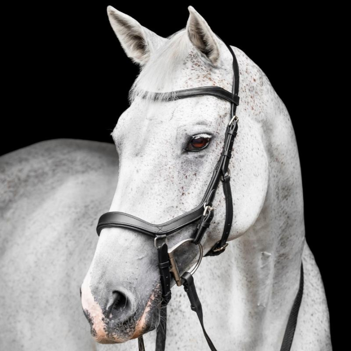 Hodelag Micklem Competition Svart i gruppen Hesteutstyr / Hodelag & Pannebånd / Hodelag hos Equinest (SBMBN1K00BA_r)
