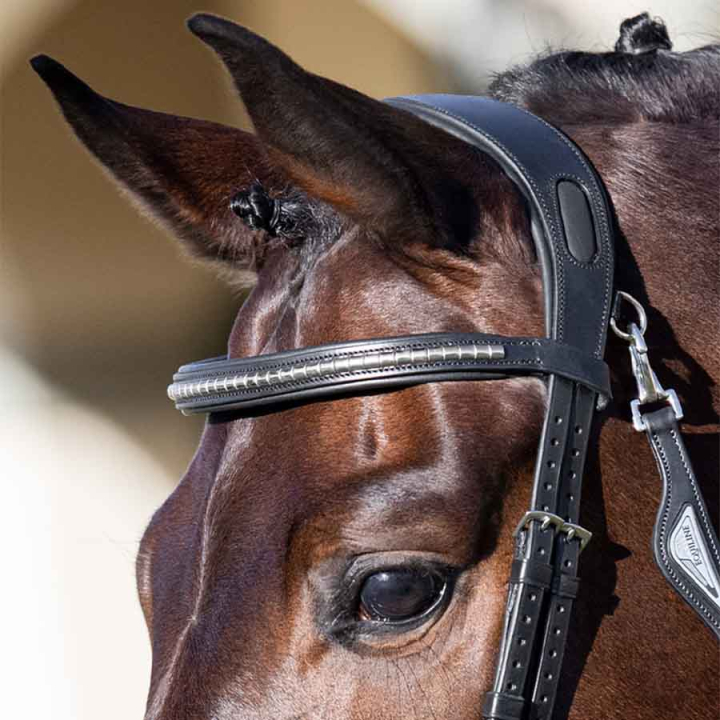 Pannebånd Clincher Svart/Sølv i gruppen Hesteutstyr / Hodelag & Pannebånd / Pannebånd hos Equinest (SC013PBB0424BA)