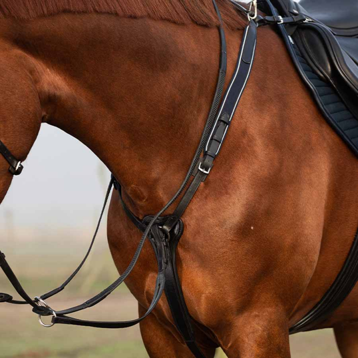 Martingal Rambo Micklem Svart i gruppen Hesteutstyr / Martingal & Fortøy / Fortøy hos Equinest (SDAA9DBA)