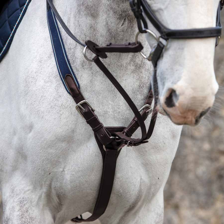 Martingal Rambo Micklem Brun i gruppen Hesteutstyr / Martingal & Fortøy / Martingal hos Equinest (SDAA9DBR)
