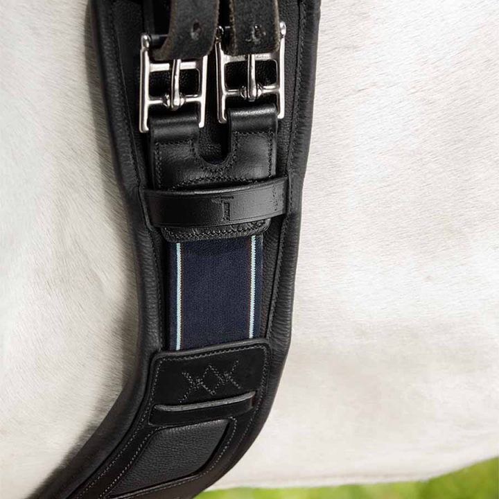 Dressurgjord Micklem Comfort Svart i gruppen Hesteutstyr / Salgjorder / Dressurgjorder hos Equinest (SFAH9DBA)