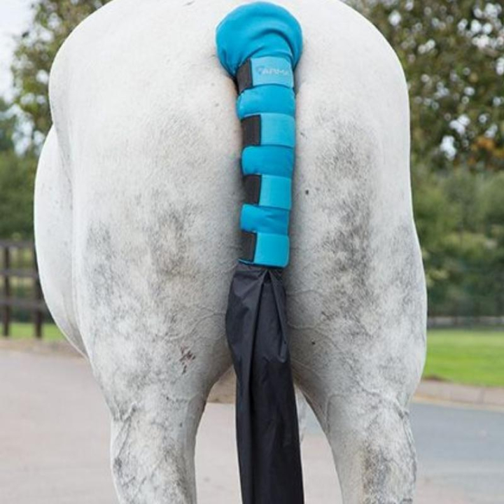 Halebeskytter med pose Blå i gruppen Hesteutstyr / Tilbehør / Halebeskyttere hos Equinest (SH1842BL)