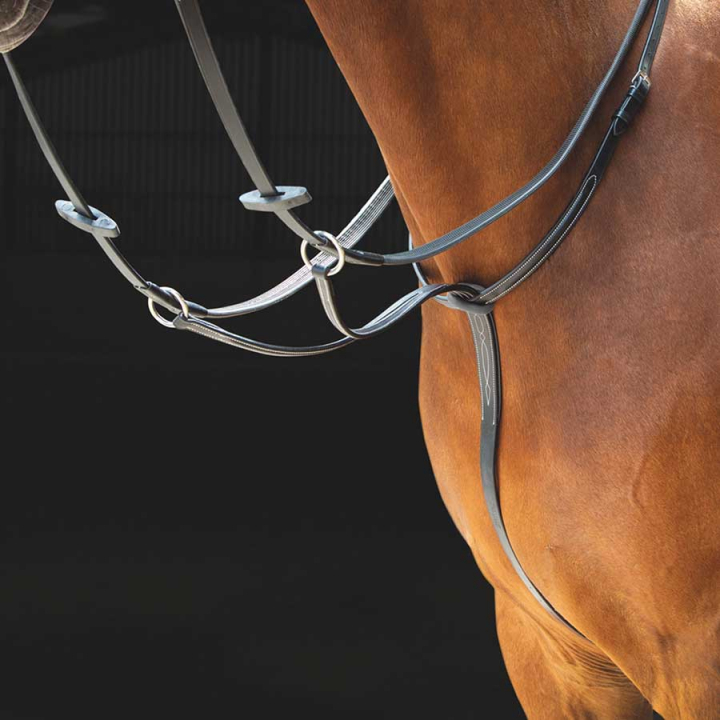 Martingal Salisbury Svart i gruppen Hesteutstyr / Martingal & Fortøy / Martingal hos Equinest (SH28301Sv_r)