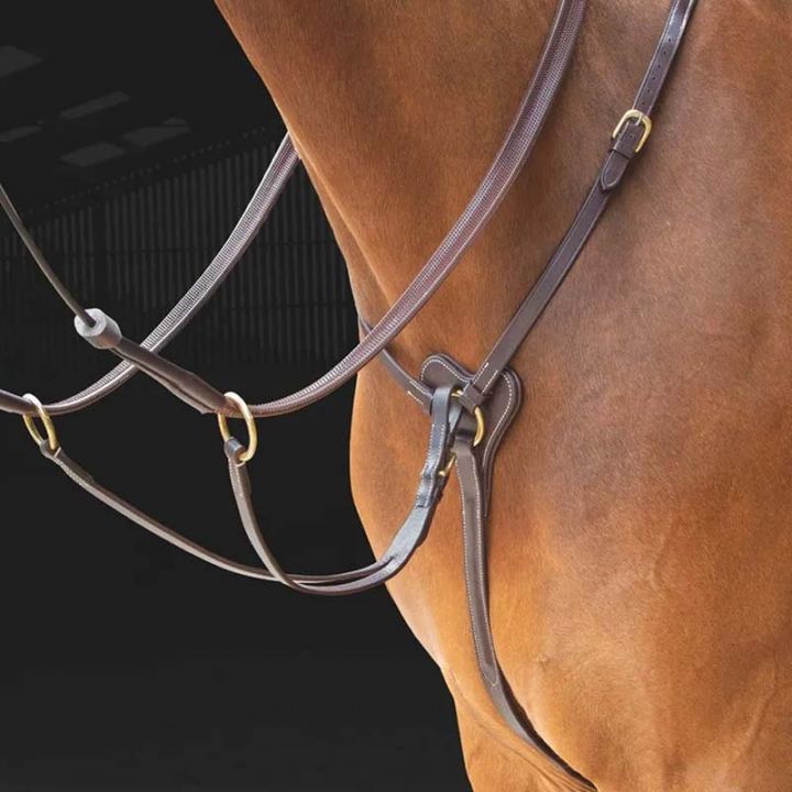 Fortøy Salisbury Brun i gruppen Hesteutstyr / Martingal & Fortøy / Fortøy hos Equinest (SH29401Br_r)