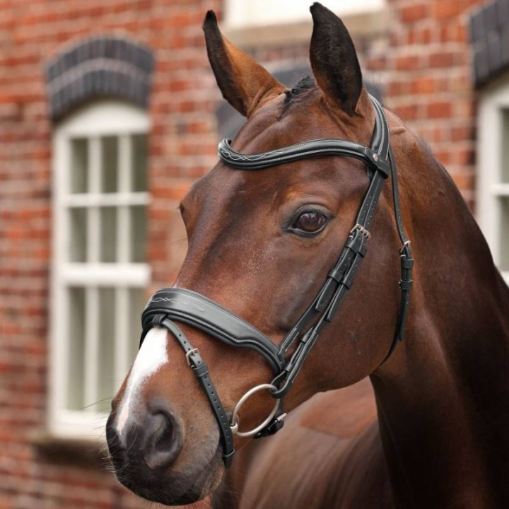 Hodelag Bred Nesereim LUSSO Opus 180M Svart i gruppen Hesteutstyr / Hodelag & Pannebånd / Hodelag hos Equinest (SH515801BA_r)