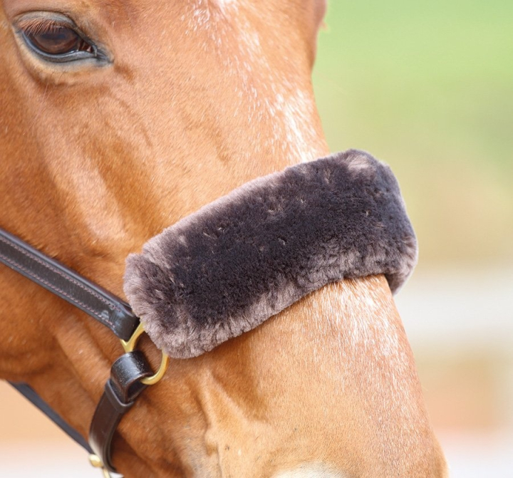 Fleece til nesereim Brun i gruppen Hesteutstyr / Hodelag & Pannebånd / Saueskinn til hodelag hos Equinest (SH5243BR)