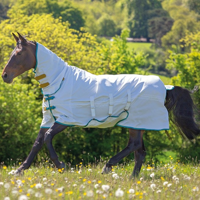Flug- & Eksemddekken Tempest Plus Hvit i gruppen Hestedekken / Fluedekken & Eksemdekken hos Equinest (SH9325_V_r)