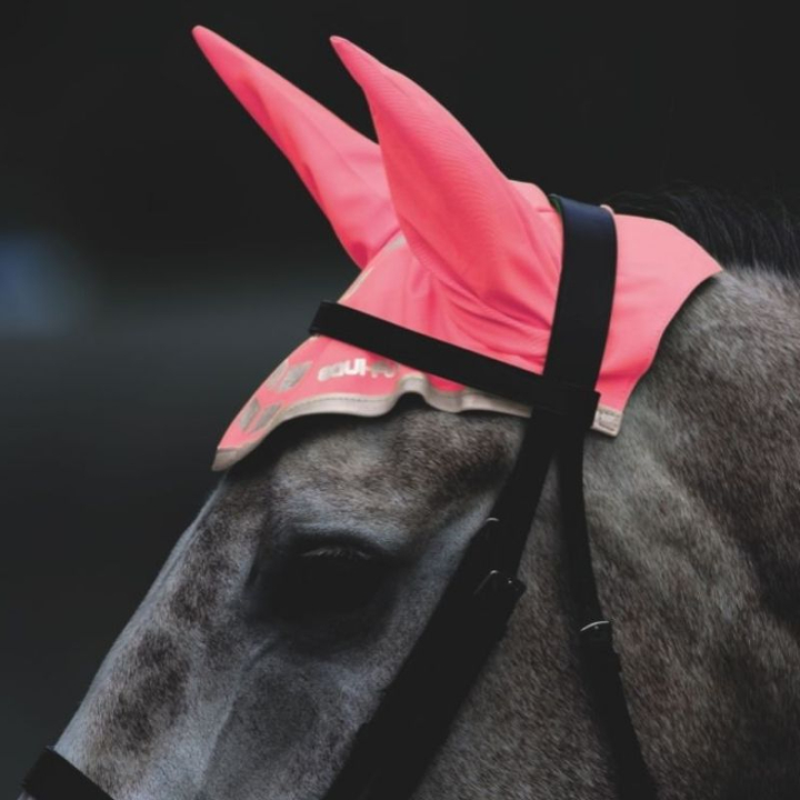 Ørehette Reflective Rosa i gruppen Hesteutstyr / Ørehetter hos Equinest (SH940135PPI_r)