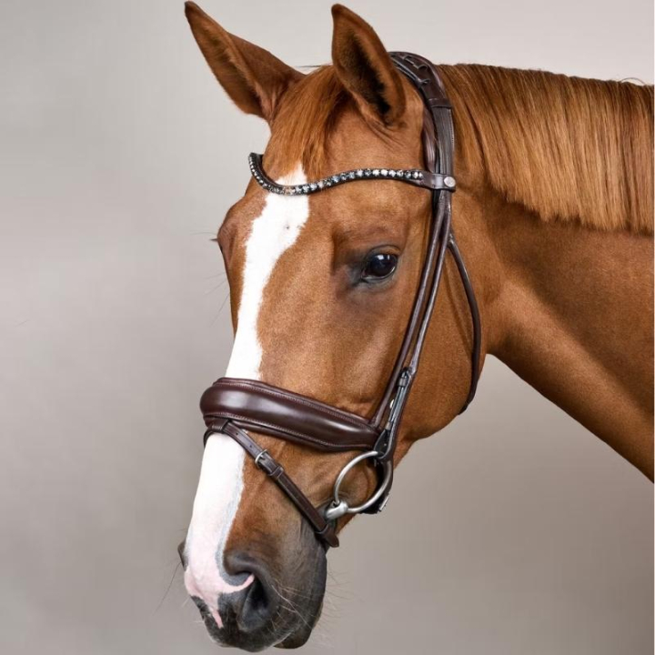 Dressurhodelag Bred Nesereim Soft Collection Brun i gruppen Hesteutstyr / Hodelag & Pannebånd / Dressur- & Kandarhodelag hos Equinest (SO1000305BR_r)
