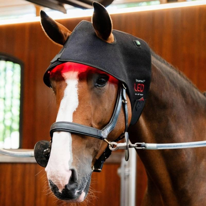 Terapihhette LED Red Light Therapy Svart i gruppen Stell & Pleie / Massasje & Blodsirkulasjon hos Equinest (TLHNT1KK0BA-FU)