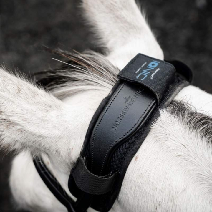 Nakke-pad Ionic Therapy Svart i gruppen Hesteutstyr / Hodelag & Pannebånd / Tilbehør til hodelag hos Equinest (TQHJNNK00BA)