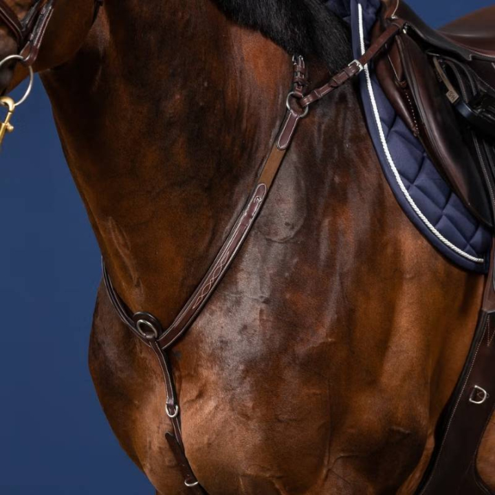 Fortøy med Bro US Collection Brun i gruppen Hesteutstyr / Martingal & Fortøy / Fortøy hos Equinest (US06DBRCBR_r)