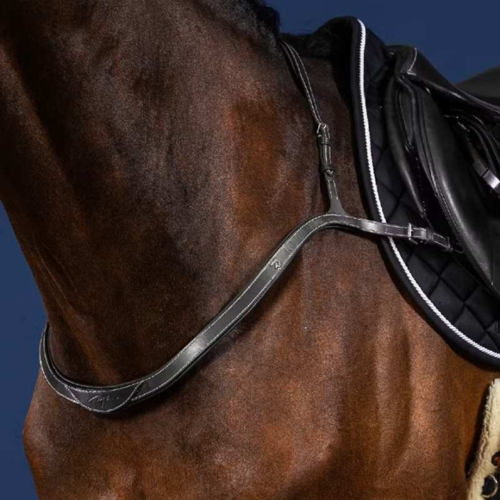 Fortøy Collar US Collection Svart i gruppen Hesteutstyr / Martingal & Fortøy / Fortøy hos Equinest (US06EBLCBA_r)