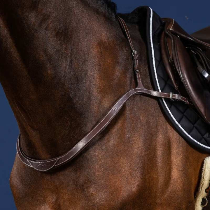 Fortøy Collar US Collection Brun i gruppen Hesteutstyr / Martingal & Fortøy / Fortøy hos Equinest (US06EBRCBR_r)