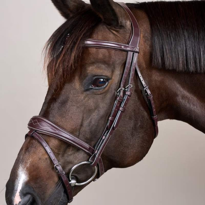 Anatomiskt Hodelag Kombinert Nesereim US Collection Brun i gruppen Hesteutstyr / Hodelag & Pannebånd / Hodelag hos Equinest (USABABBRCBR_r)