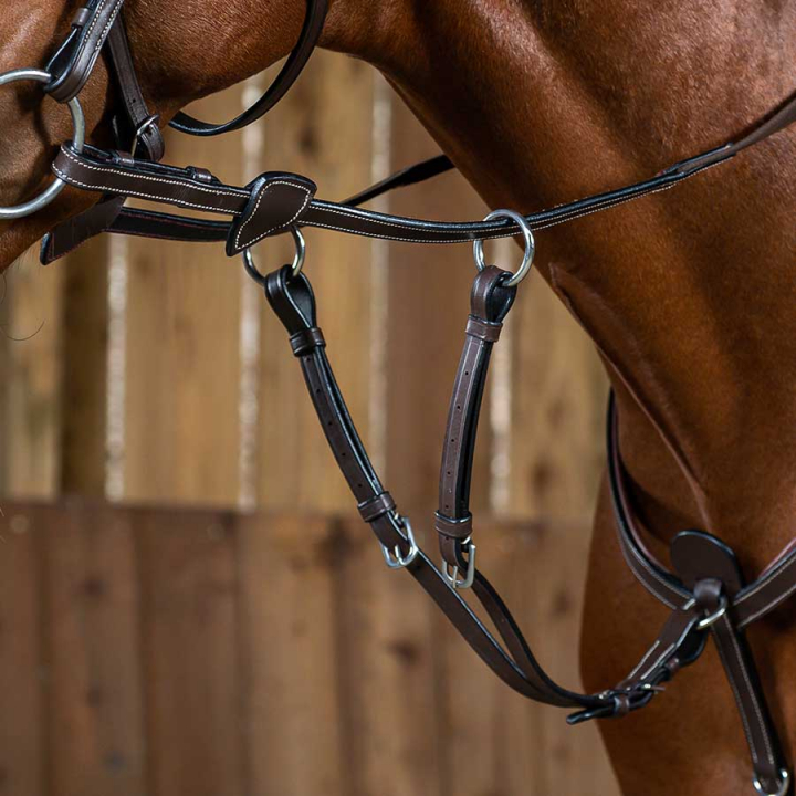 Kort Martingal WC Brun i gruppen Hesteutstyr / Martingal & Fortøy / Martingal hos Equinest (WO07ABr_r)