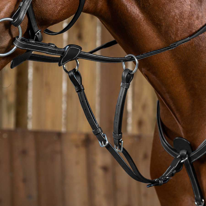 Kort Martingal WC Svart i gruppen Hesteutstyr / Martingal & Fortøy / Martingal hos Equinest (WO07ASv_r)