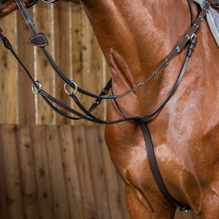 Martingal WC Brun i gruppen Hesteutstyr / Martingal & Fortøy / Martingal hos Equinest (WO07GBr_r)