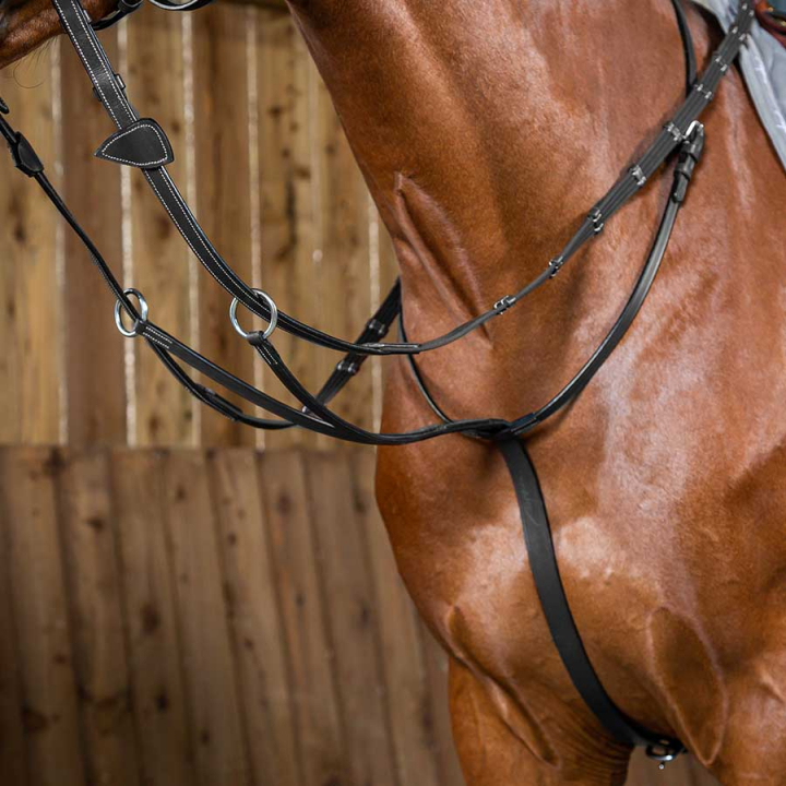 Martingal WC Svart i gruppen Hesteutstyr / Martingal & Fortøy / Martingal hos Equinest (WO07GSv_r)