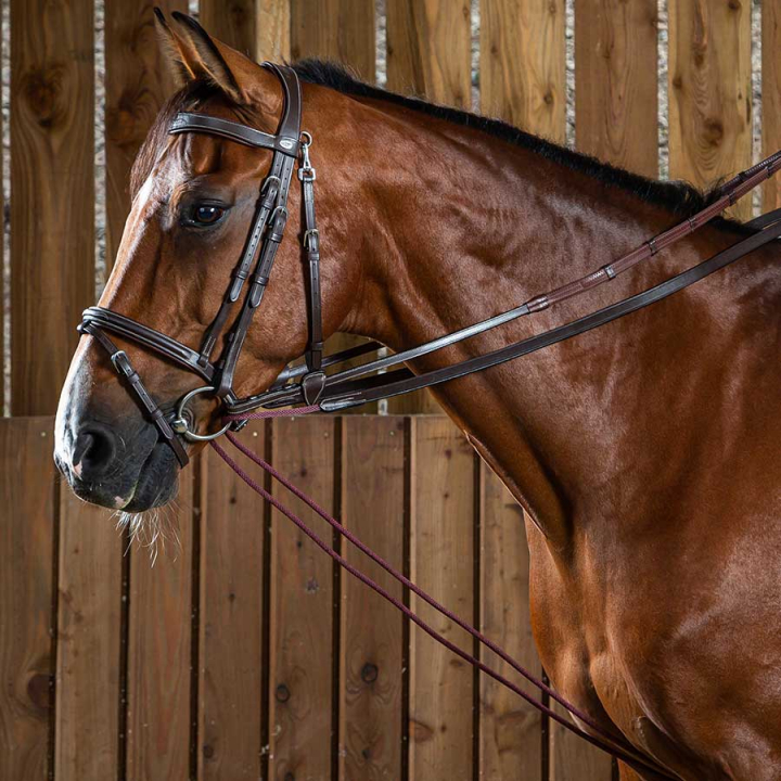 Hjelpetøyle Stoff/Lær 16mm WC Brun i gruppen Hesteutstyr / Tøyler / Hjelpe- & Innspenningstøyler hos Equinest (WO08BBr_r)