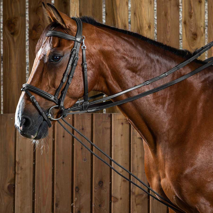 Hjelpetøyle Stoff/Lær 16mm WC Svart i gruppen Hesteutstyr / Tøyler / Hjelpe- & Innspenningstøyler hos Equinest (WO08BSv_r)