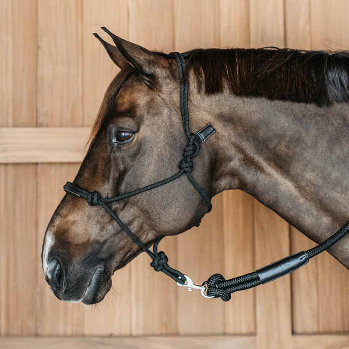 Taugrime Working Collection Svart i gruppen Hesteutstyr / Grimer / Taugrimer hos Equinest (WO09CBLCBA_r)