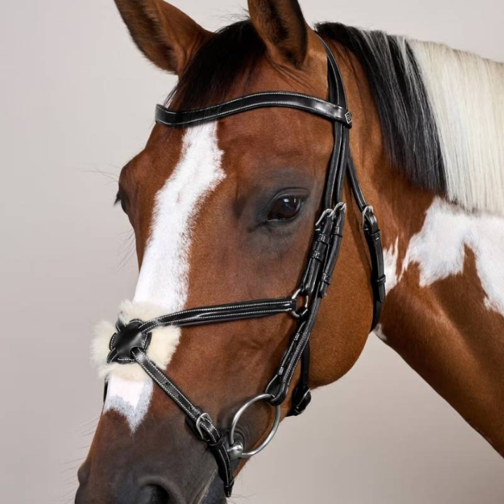 Hodelag Meksikansk Nesereim Working Collection Svart i gruppen Hesteutstyr / Hodelag & Pannebånd / Hodelag hos Equinest (WOAQHCSv_r)