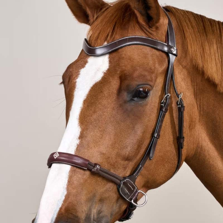 Bittløst hodelag Working Collection Brun i gruppen Hesteutstyr / Hodelag & Pannebånd / Hackamore & Bittløse Hodelag hos Equinest (WOCCXVBRCBR_r)