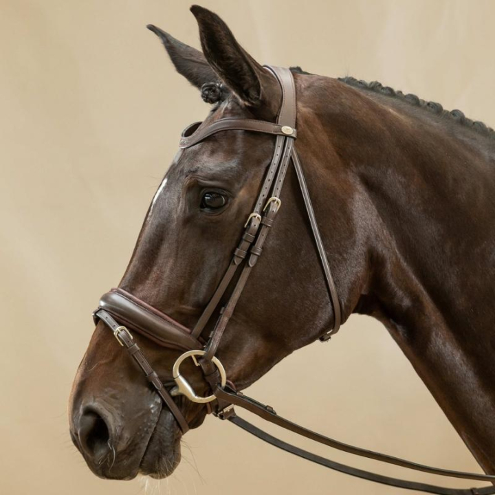 Dressurhodelag Matt Working Collection Brun i gruppen Hesteutstyr / Hodelag & Pannebånd / Dressur- & Kandarhodelag hos Equinest (WODCAMBRCBR_r)