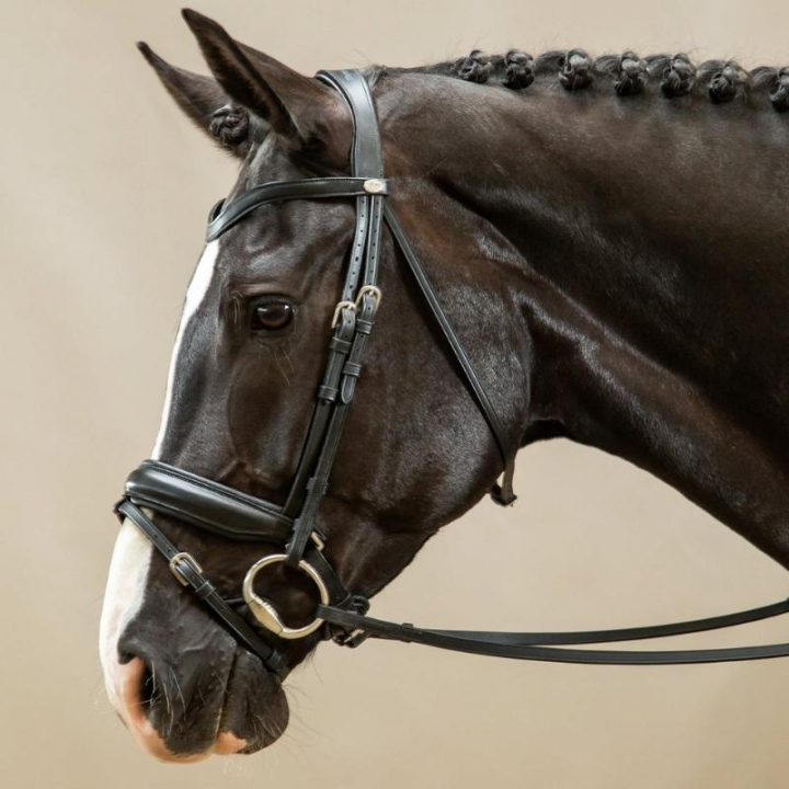 Dressurhodelag Matt Working Collection Svart i gruppen Hesteutstyr / Hodelag & Pannebånd / Dressur- & Kandarhodelag hos Equinest (WODCAMSv_r)