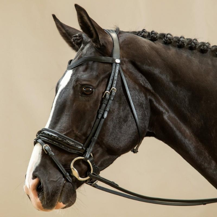 Dressurhodelag Lakk Working CollectionSvart i gruppen Hesteutstyr / Hodelag & Pannebånd / Dressur- & Kandarhodelag hos Equinest (WODCANSv_r)