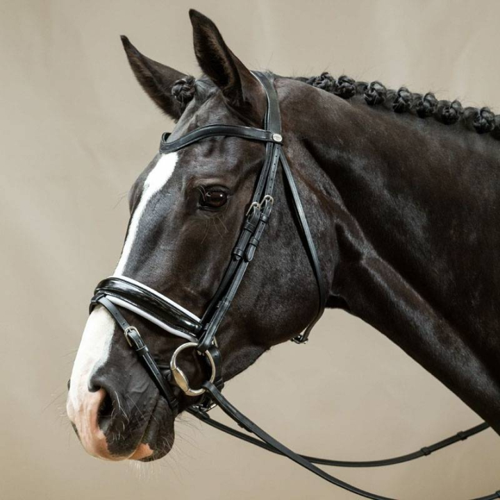 Dressurhodelag Working Collection Svart/Hvitt i gruppen Hesteutstyr / Hodelag & Pannebånd / Dressur- & Kandarhodelag hos Equinest (WODCAOSv_r)