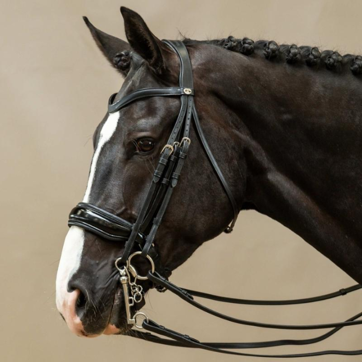 Kandarhodelag Lakk Working Collection Svart i gruppen Hesteutstyr / Hodelag & Pannebånd / Dressur- & Kandarhodelag hos Equinest (WOECASSv_r)