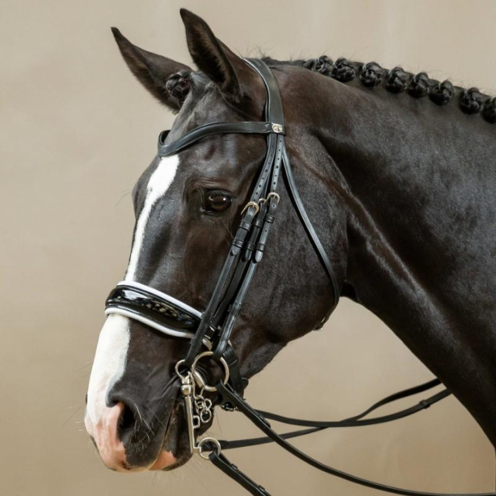 Kandarhodelag Working Collection Svart/Hvitt i gruppen Hesteutstyr / Hodelag & Pannebånd / Dressur- & Kandarhodelag hos Equinest (WOECATSv_r)