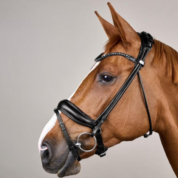 Dressurhodelag ComfoHead Working Collection Svart i gruppen Hesteutstyr / Hodelag & Pannebånd / Dressur- & Kandarhodelag hos Equinest (WOIHHSBLCBA_r)