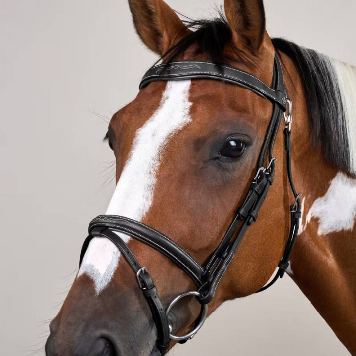 Hodelag med kombinert nesereim WC Svart i gruppen Hesteutstyr / Hodelag & Pannebånd / Hodelag hos Equinest (WOJBHASv_r)