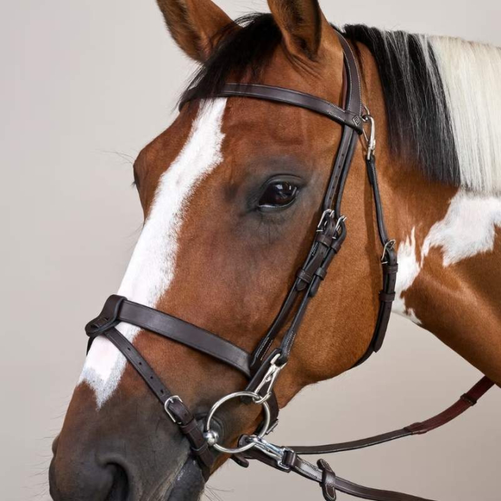 Hodelag med glatt nesereim WC Brun i gruppen Hesteutstyr / Hodelag & Pannebånd / Hodelag hos Equinest (WOJOGJBr_r)