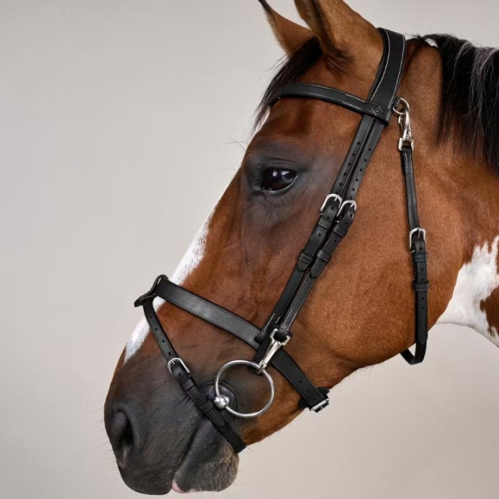 Hodelag med glatt nesereim WC Svart i gruppen Hesteutstyr / Hodelag & Pannebånd / Hodelag hos Equinest (WOJOGJSv_r)